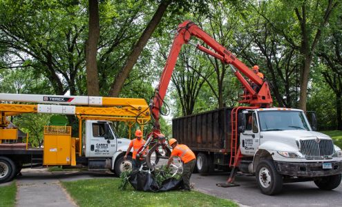 Carr's Tree Service 307 MN-78 North, Ottertail Minnesota 56571