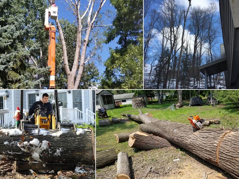 Scott's Tree Service