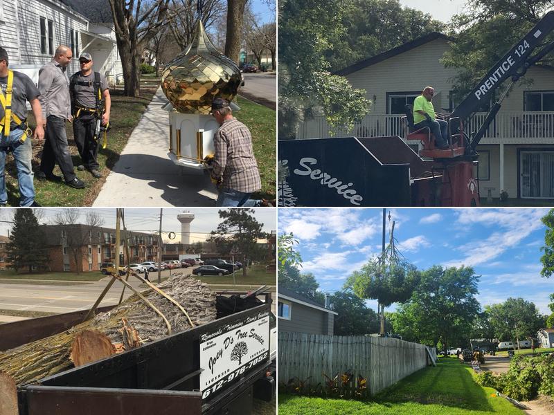 Joey D's Tree Service LLC