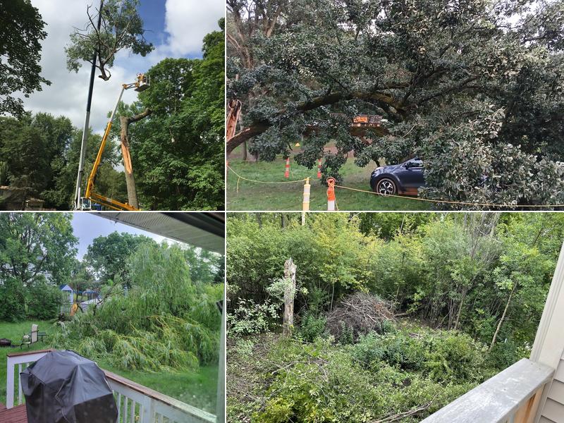 L and T Tree Services