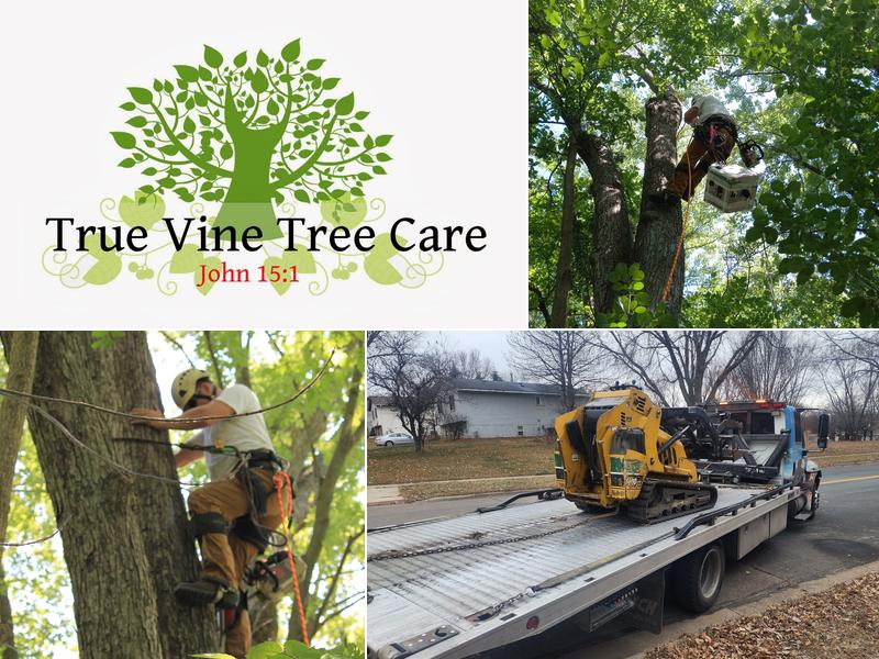 True Vine Tree Care