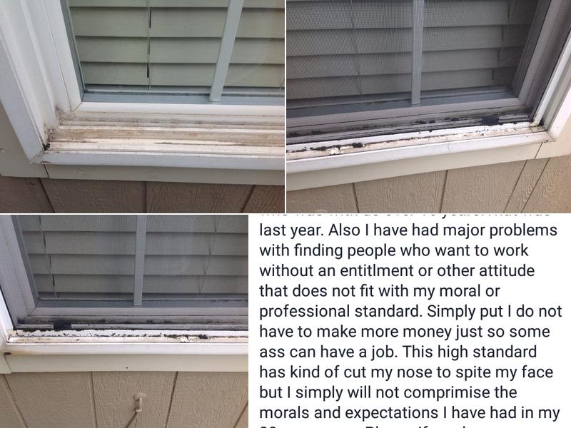 Shannon the Cannon Windows