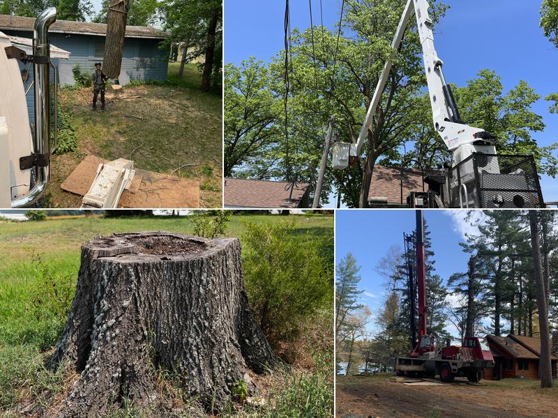 Jeff's Professional Tree Service, Inc.