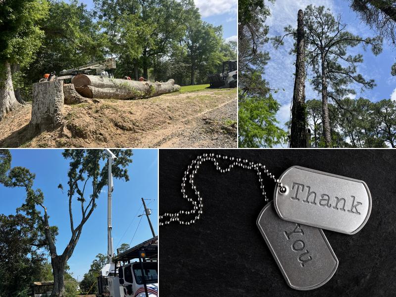 The Tree Service, LLC