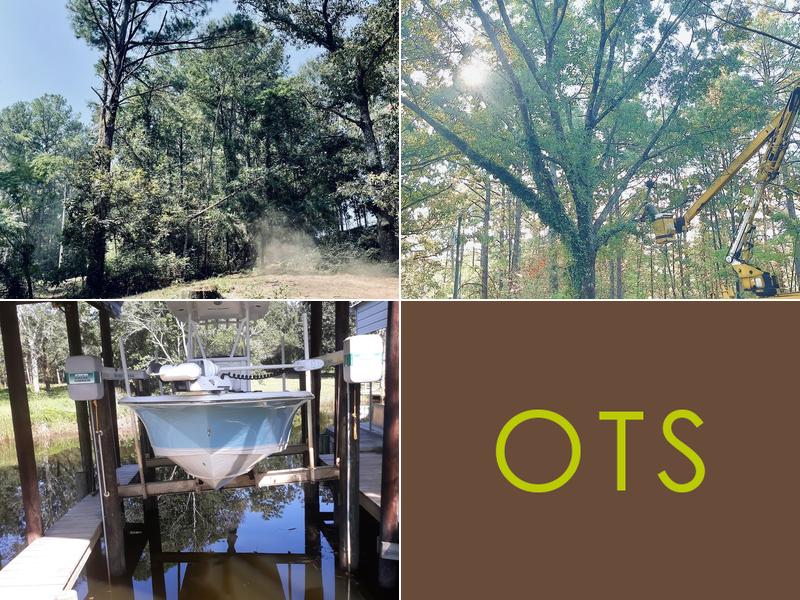 Odom's Tree Services