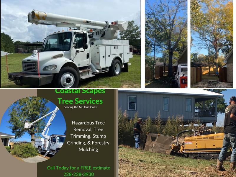 Coastal Scapes LLC. - Tree Services