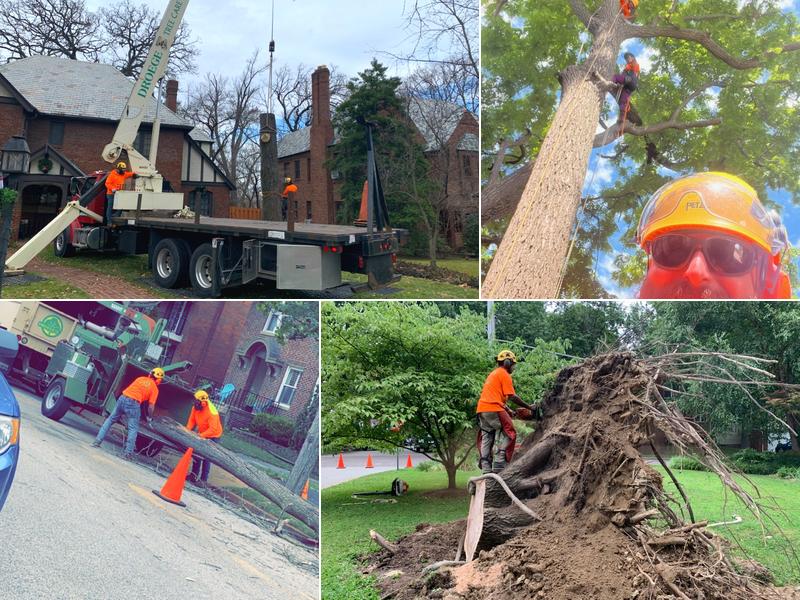 Droege Tree Care, Inc.