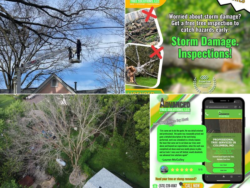 Advanced Tree Solutions LLC