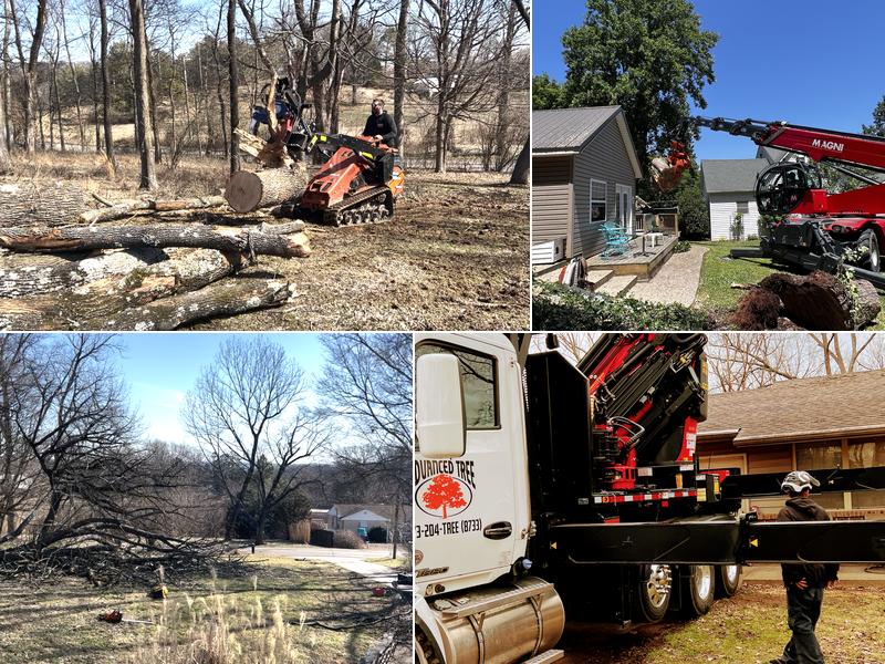 Advanced Tree Service