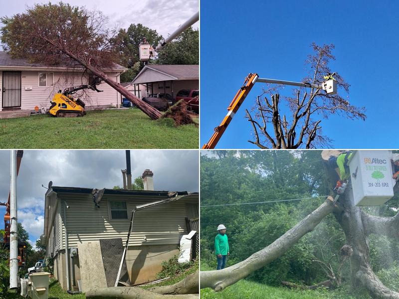 El Tule Tree Services LLC