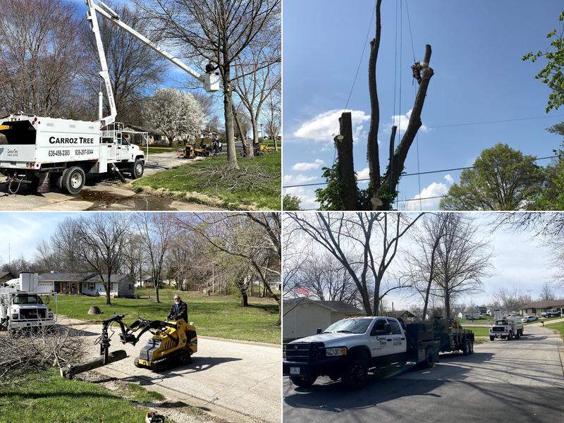Carroz Tree Service