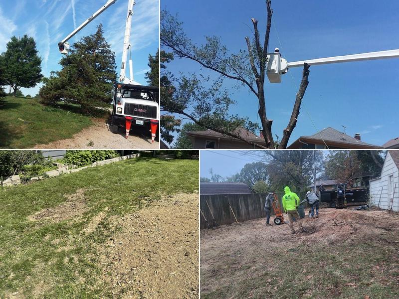 JC Garay Tree and Lawn Service