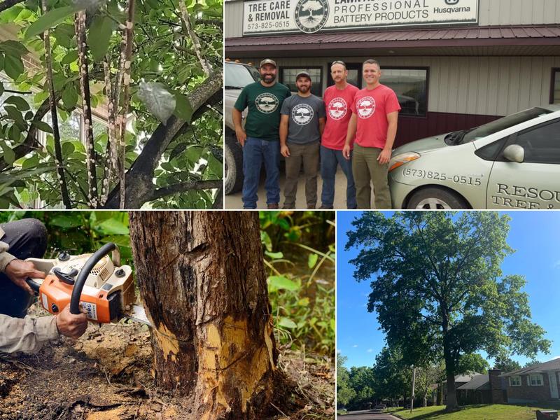 Resource Tree & Land