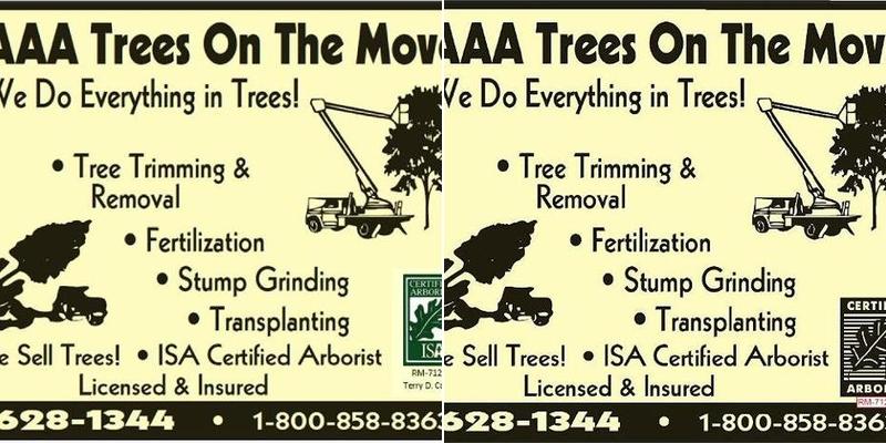 AAA Trees On the Move
