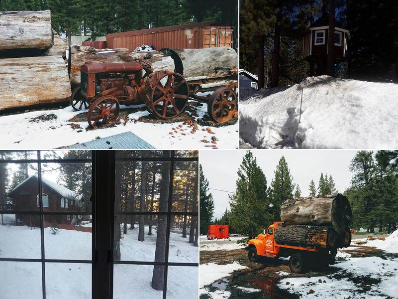 Ed Cook Tree Service