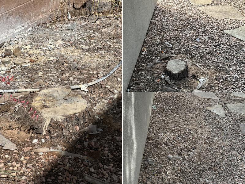 Southern Utah Tree Service