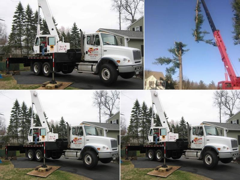 Rich's Tree Service, Serving NH & Mass