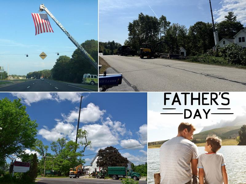 Boisvert Brothers Tree Services