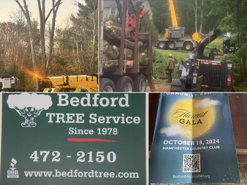 Bedford Tree Service llc
