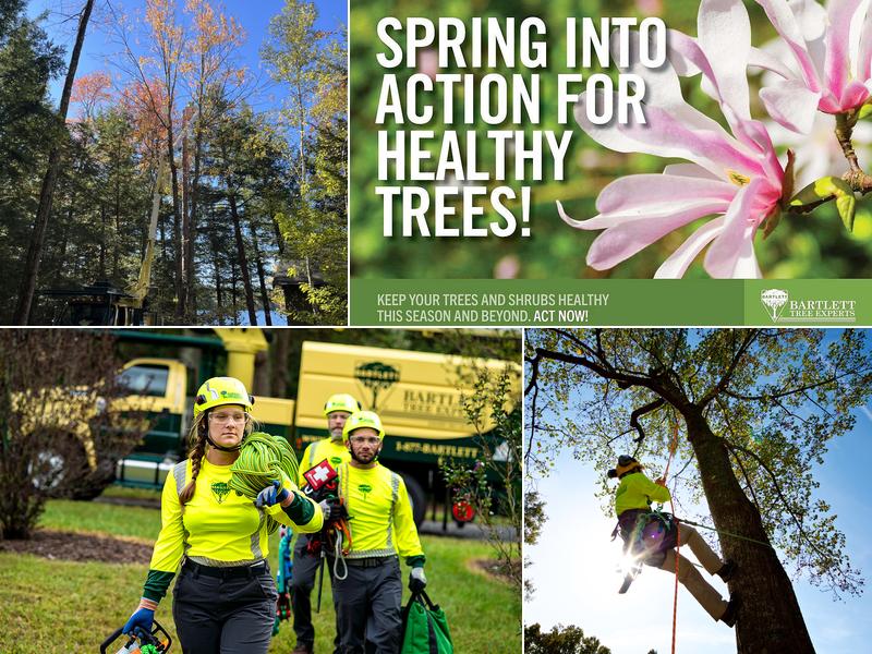 Bartlett Tree Experts