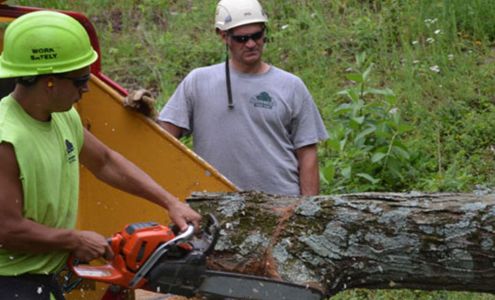 Advanced Tree Care 5 Hope Rd, Great Meadows New Jersey 07838