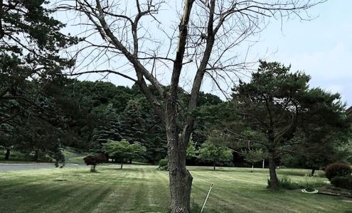 McCullough Tree Experts LLC 140 Neilson Rd, Wantage New Jersey 07461