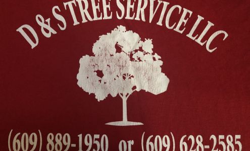 D&S Tree Service