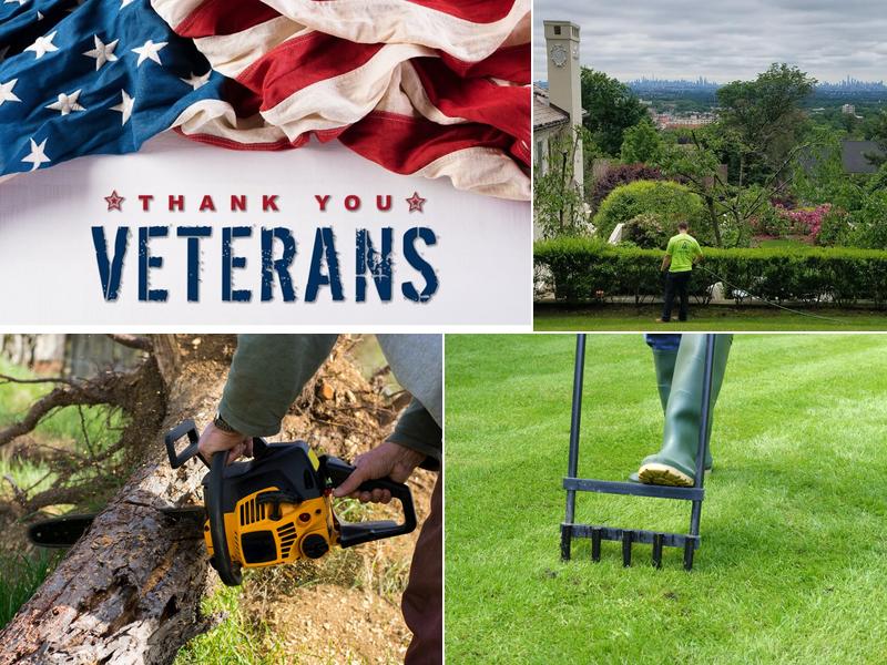 Greenwood Tree and Lawn