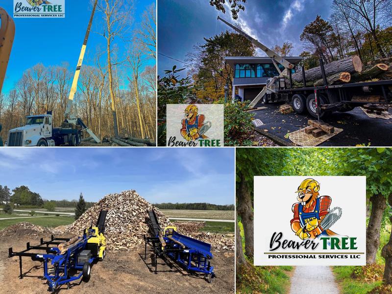 Beaver Tree Service