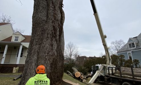 Beaver Tree Service 10 Passaic Ave, Ogdensburg New Jersey 07439