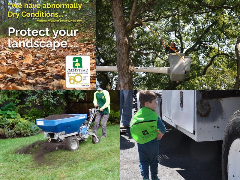 Almstead Tree, Shrub & Lawn Care Co.