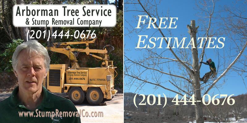 Arborman Tree Service & Stump Removal Co