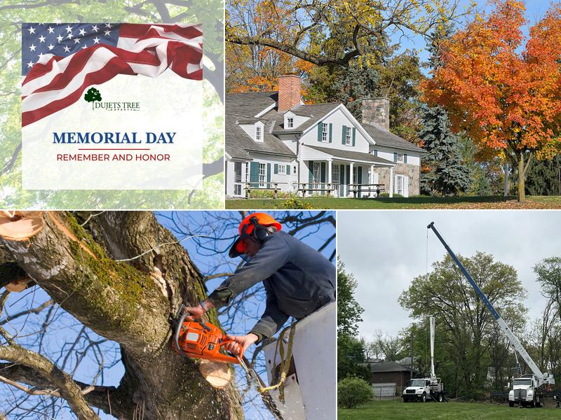 Dujets Tree Experts Inc.