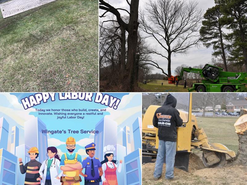 Wingate's Tree Service LLC