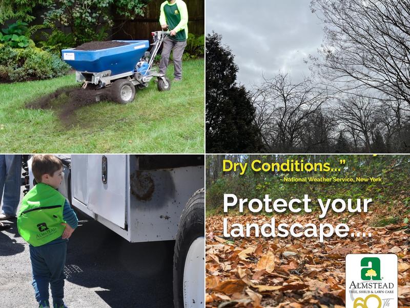 Almstead Tree, Shrub & Lawn Care Co