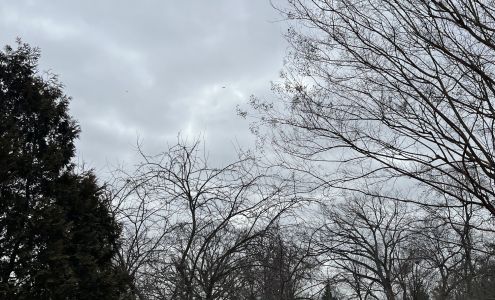 Almstead Tree, Shrub & Lawn Care Co 504 High Mountain Rd, North Haledon New Jersey 07508