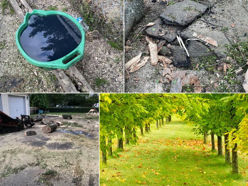 Clearview Tree Service