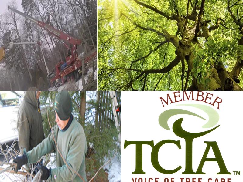 Becker's Tree Service