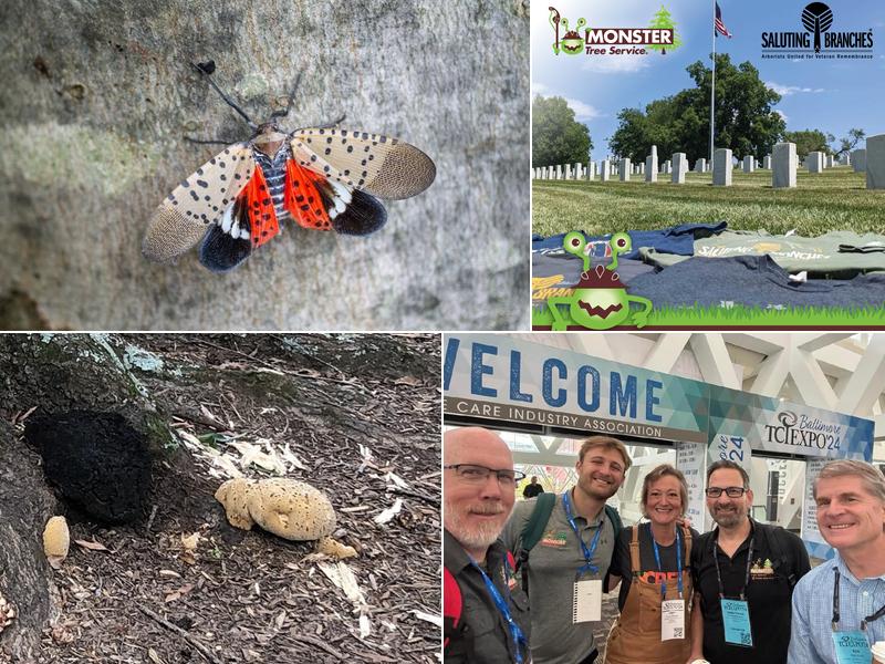 Monster Tree Service of Bucks and Montgomery Counties