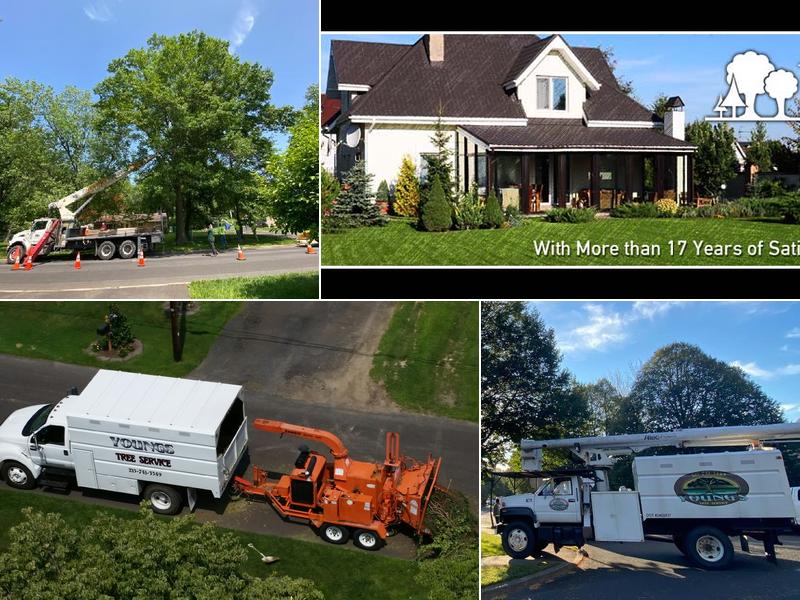 Young's Tree Service, Inc.