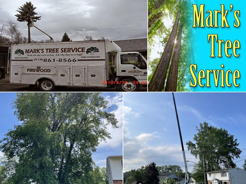 Mark's Tree Service