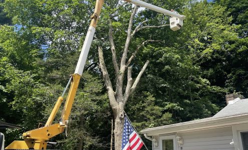 Treeman Services Inc. 2109 NY-52, Hopewell Junction New York 12533