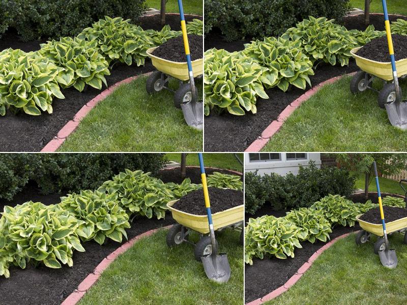 Round Hill Tree Service Inc