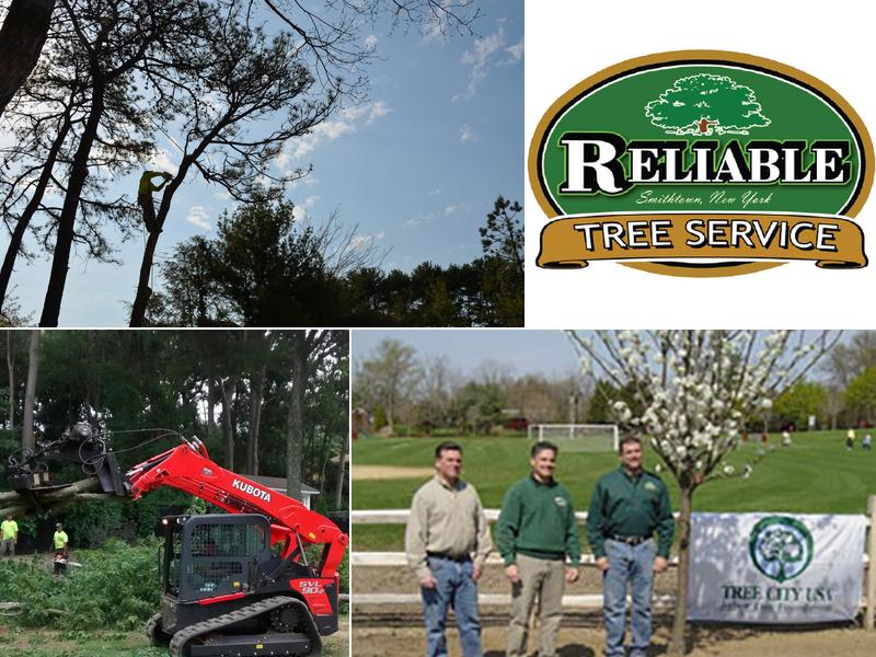 Reliable Tree Service