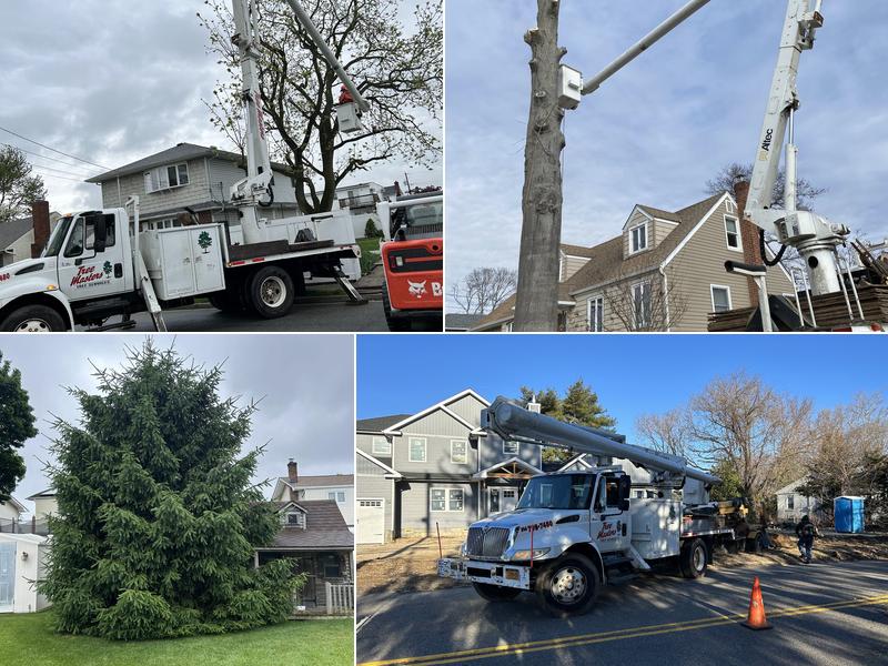 K & D Tree Masters Inc