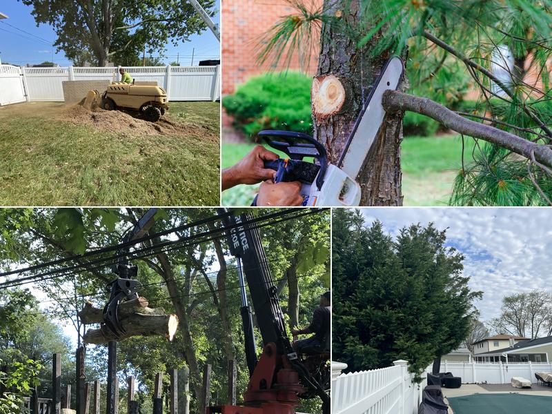 Allstate Tree & Shrub Corp.