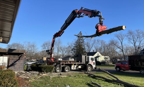 WoodChuck Tree Service 650 Baseline Rd, Grand Island New York 14072