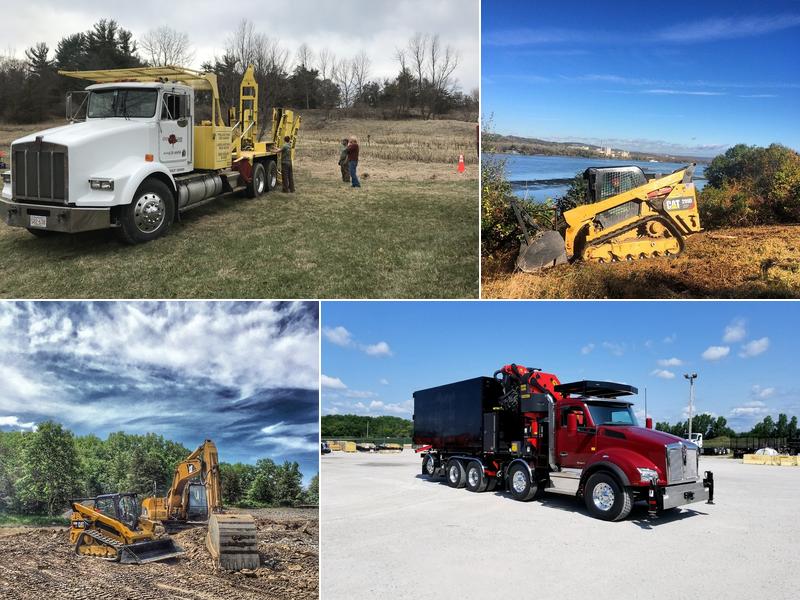 Out on a Limb Tree And Land
