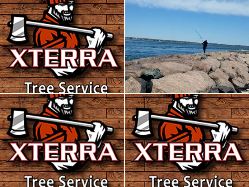 Xterra Tree Service