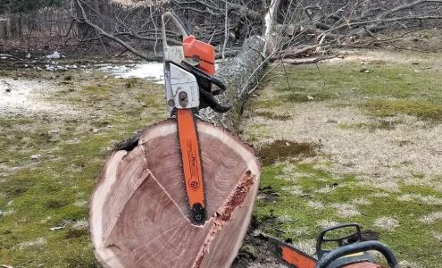 All Pro Able Tree & Timber